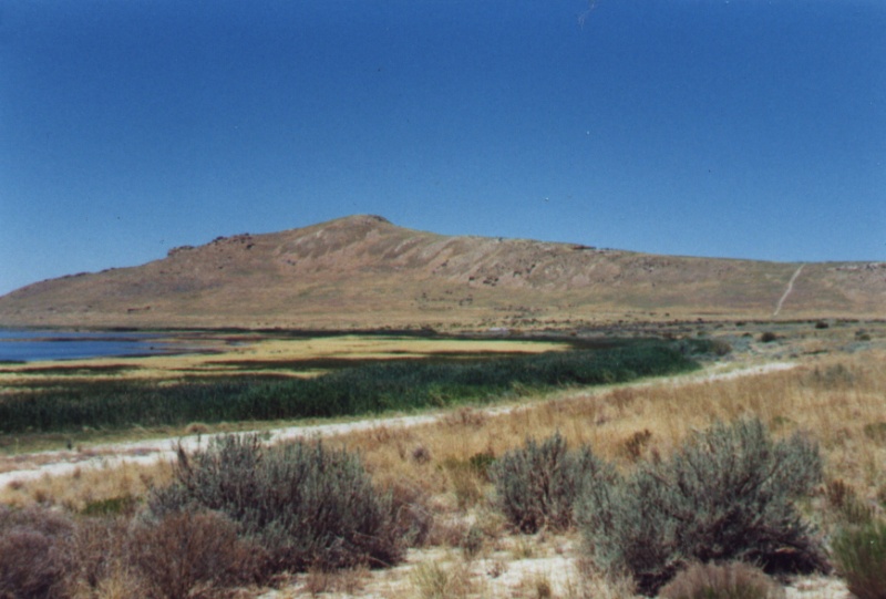 Antelope_Island_crossways_beach_view_800.jpg (127467 bytes)